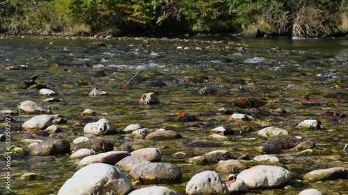 Klares Wasser im Fluss