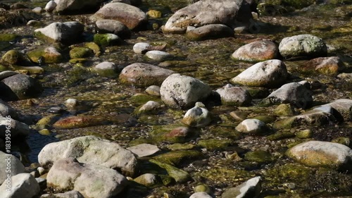 Klares Wasser im Fluss