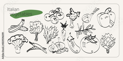 Collection of hand-drawn Italian classic vegetables for posters, banners, and advertisements, created in a vintage artistic style.