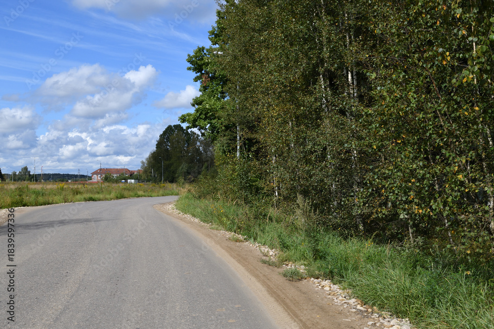 Fototapeta premium rural paved road surrounded by trees and grass.