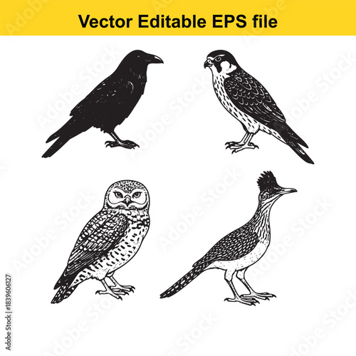  collection of four different bird silhouettes in editable vector format for design