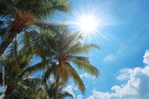 Wallpaper Mural Tropical Paradise: Palm Trees Bathed in Sunshine Beneath Clear Blue Skies on a Perfect Beach Day Torontodigital.ca