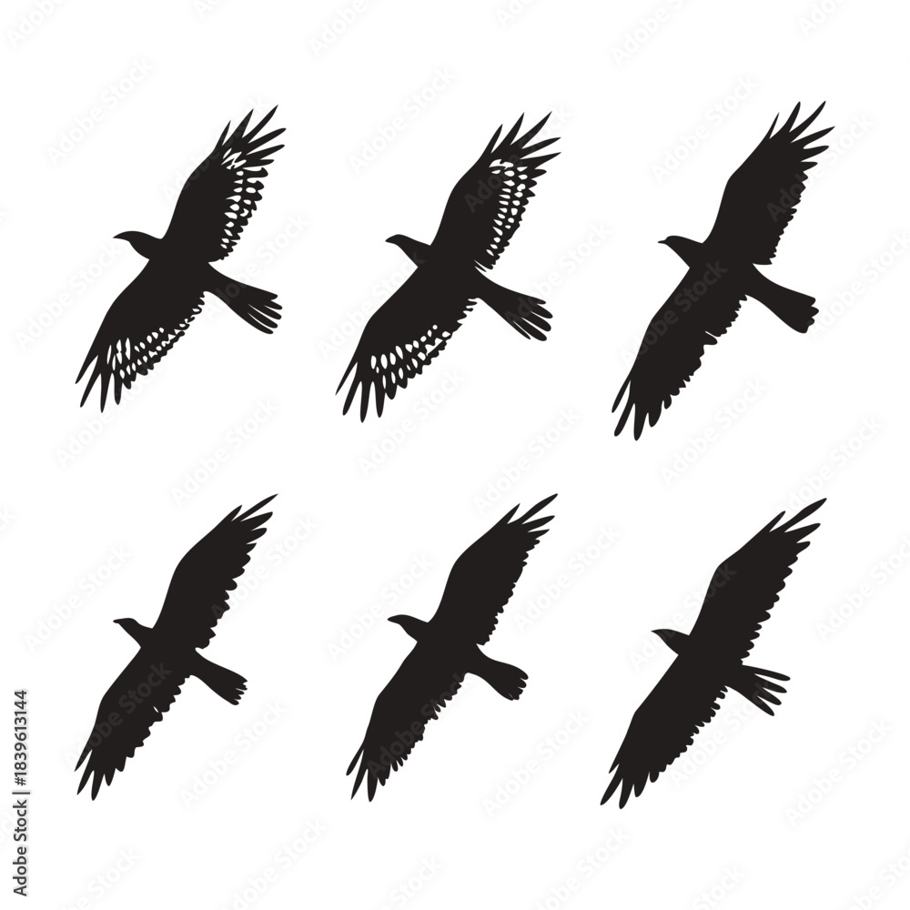 Obraz premium Vector illustration six silhouettes of birds of prey in flight, black graphic icons on