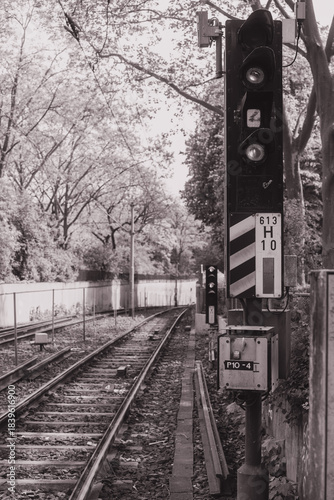 A vintage photograph of a traffic light beside the railway tracks beneath the trees