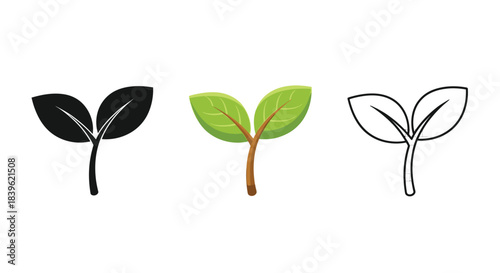 Three stylized leaf and stem illustrations in varying artistic representations