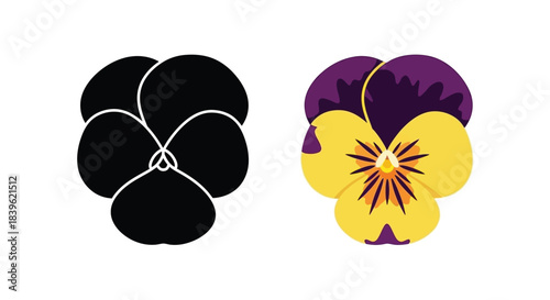 A comparison of pansy flowers black and white versus colorful illustration