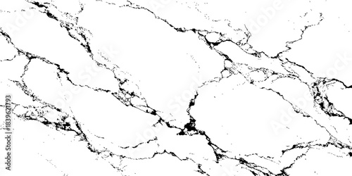 Elegant white marble texture with bold black veins, high-resolution natural stone background, perfect for luxury interior design, countertops, tiles, and architectural surfaces.