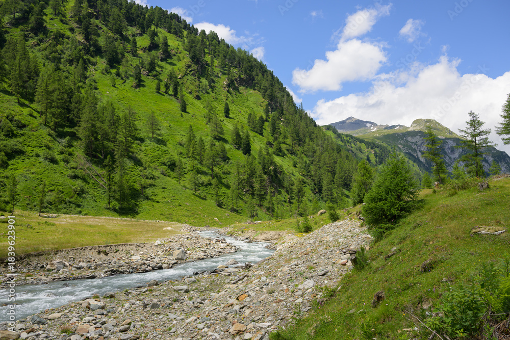 Fototapeta premium River in Dorfer valley with forest and meadows in Kals Austria cloudy summer view