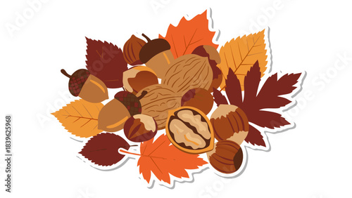 autumn leaves and acorns