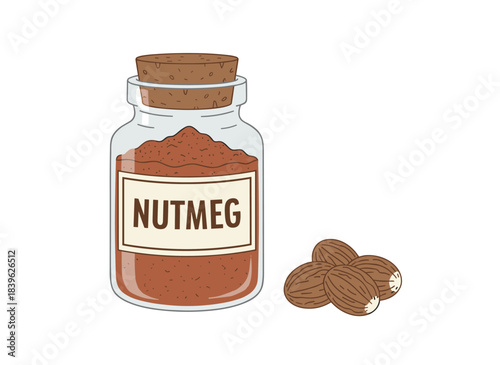Ground nutmeg kept in a clear jar on a white background, depicted as a piquant spice for cooking, shown in a colored illustration