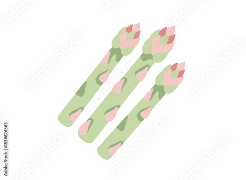 Fresh asparagus stems, natural vegetarian fare