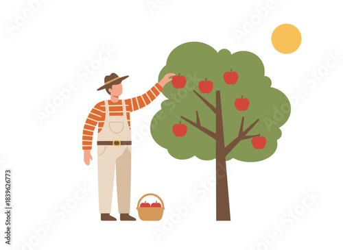 Female farmer picking apples from a tree branch in a rural orchard, collecting organic fruit for harvest, depicted as a flat vector illustration on a white background