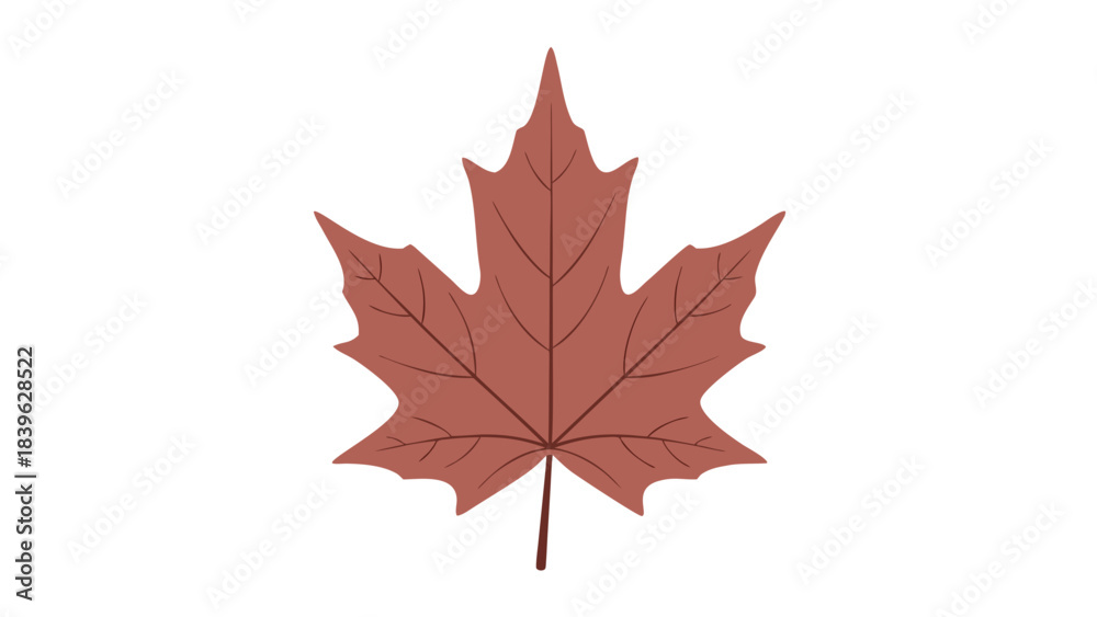 Fototapeta premium red maple leaf