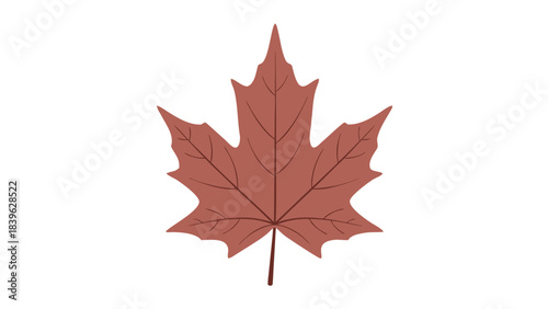 red maple leaf