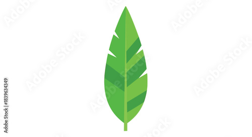 A simple illustration of a vibrant green leaf with a pointed tip