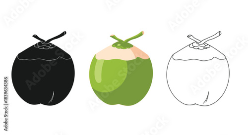 Illustrations of a coconut in different stages of husk removal