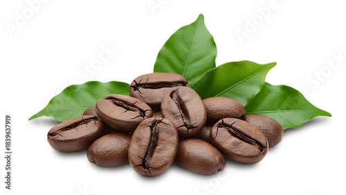 photo of coffee beans and coffee leaves