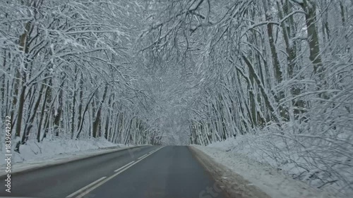 A breathtakingly serene winter scene showcasing a completely snowcovered road beautifully framed by frosted trees