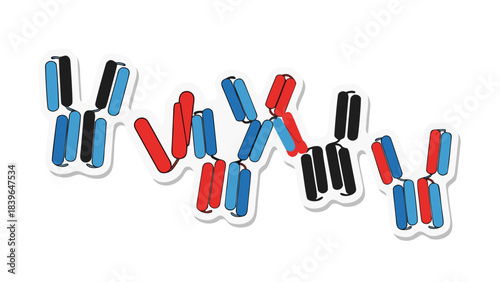 Abstract Representation of Antibodies in Blue Red and Black Colors Against a Transparent Background with White Outline and Shadow Effect