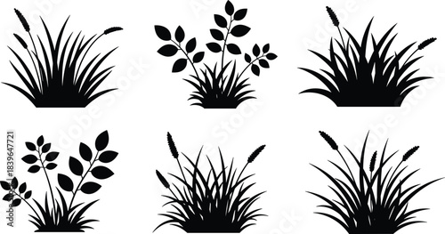 Six black silhouette illustrations of grass and leafy plants on white background