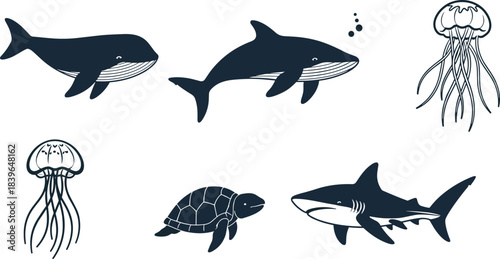 Dark blue whale shark sea turtle jellyfish set on white background marine life