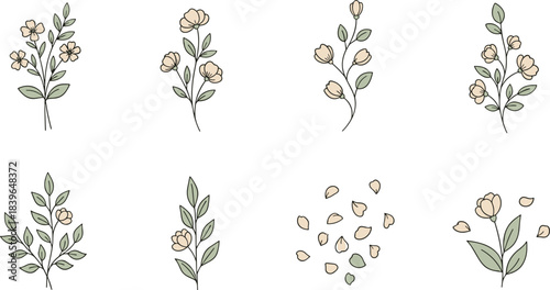 Collection of delicate hand drawn floral elements and scattered petals flower botanical