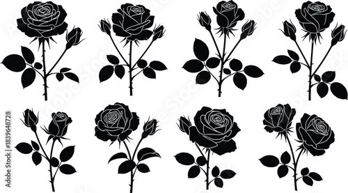 Black silhouette rose flowers and buds with thorny stems and leaves white