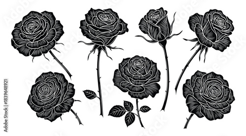 Black and white linocut style roses with thorns and leaves flower flowers 1
