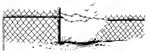 Broken chain link fence with hole and flying birds vector illustration