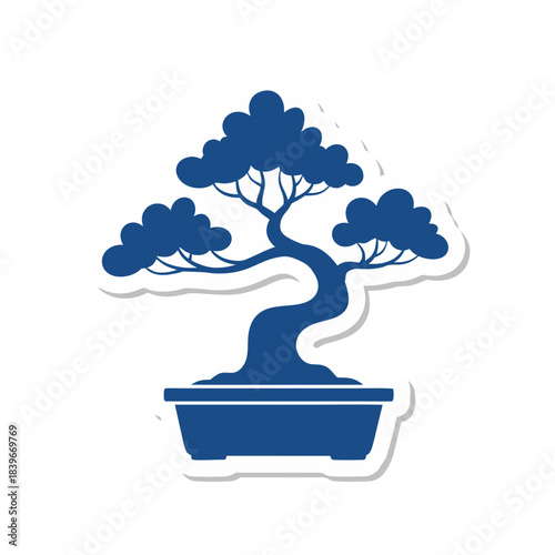 bonsai tree on white background