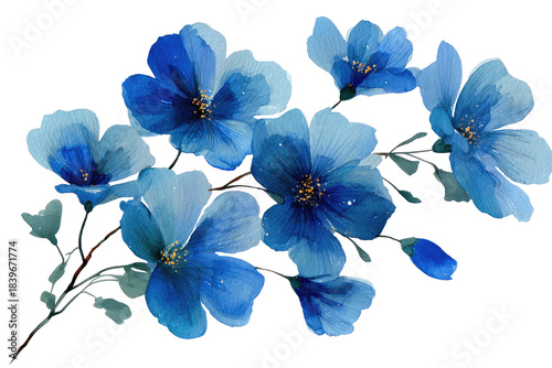 Blue floral branch with delicate watercolor petals on black