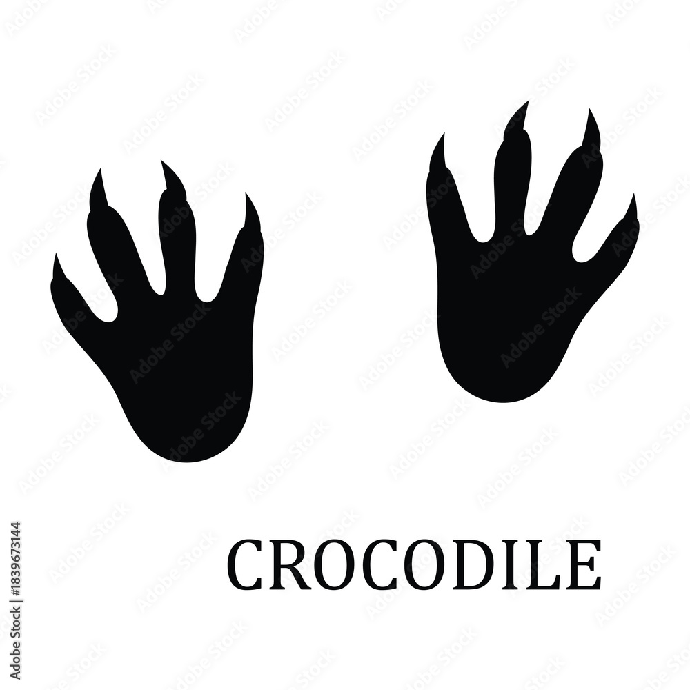 Fototapeta premium Crocodile Footprint Vector Illustration,Crocodile Track Mark Vector Illustration
