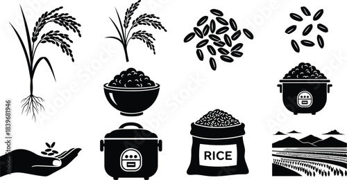 Black rice plant grains and harvesting elements silhouette on transparent background