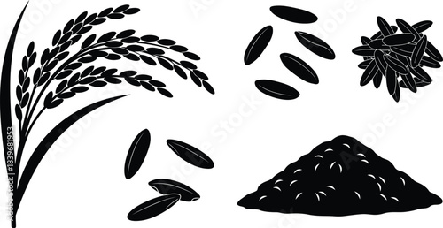 Black rice plant grains and pile illustration on transparent background silhouette