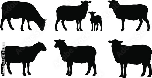A collection of black sheep silhouettes against a transparent background