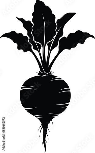 Detailed beetroot illustration with leaves a striking silhouette on transparent background