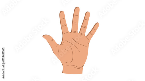 counting hand isolated on white background