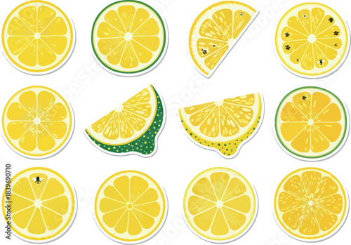 Vibrant Citrus Slices A Collection of Lemon and Lime Illustrations