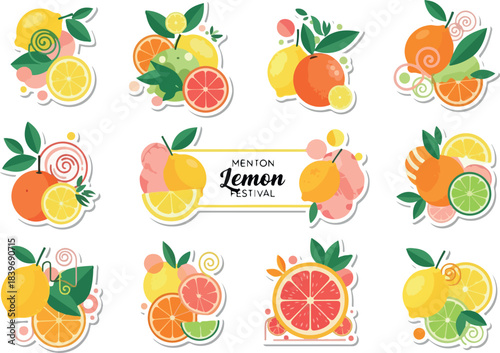 Citrus Fruit Sticker Set Refreshing Lemon and Orange Designs