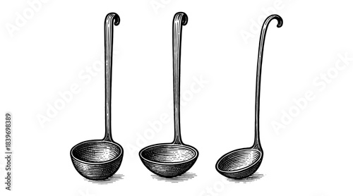 Detailed vintage illustration of three soup ladles on a white background