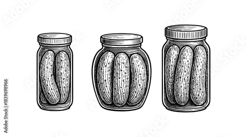 Vintage illustration of three jars of pickles in a classic style
