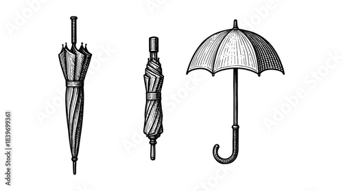 Vintage umbrella illustrations in black and white on a clean white background