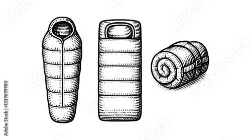 Engraved sleeping bag illustration for camping and outdoor adventures