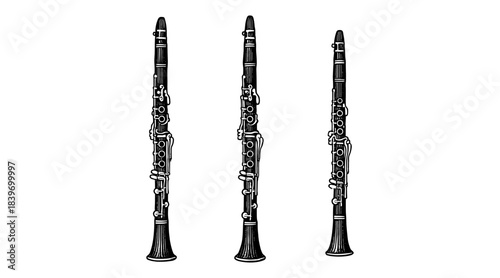 Detailed illustration of three clarinets in a row, isolated on a white background