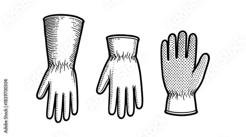 Detailed illustration of three different gloves in a vintage engraving style