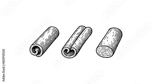 Detailed illustration of cinnamon sticks in a vintage engraving style