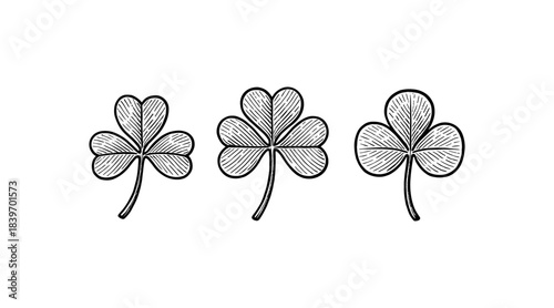 Three detailed shamrock illustrations on a white background for St. Patrick's Day