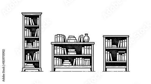 Illustration of three bookshelves with books and a vase in black and white.