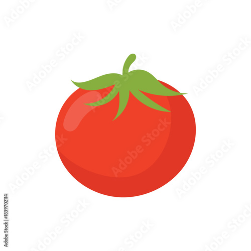 Tomato Illustration
