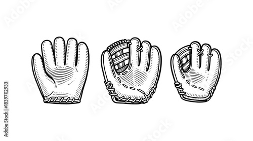 Baseball glove illustrations in a detailed, hand-drawn style on a white background.